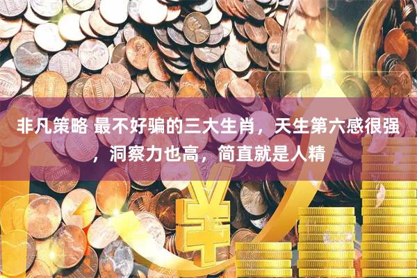非凡策略 最不好骗的三大生肖，天生第六感很强，洞察力也高，简直就是人精