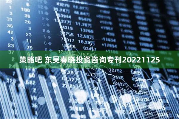 策略吧 东吴春晓投资咨询专刊20221125