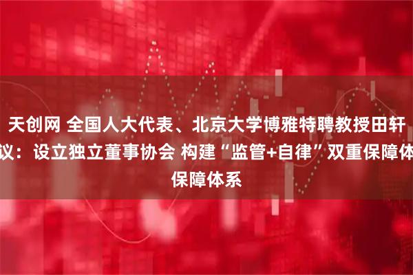 天创网 全国人大代表、北京大学博雅特聘教授田轩建议：设立独立董事协会 构建“监管+自律”双重保障体系