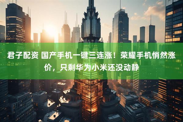 君子配资 国产手机一键三连涨！荣耀手机悄然涨价，只剩华为小米还没动静