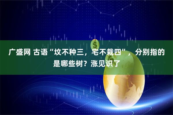 广盛网 古语“坟不种三，宅不栽四”，分别指的是哪些树？涨见识了
