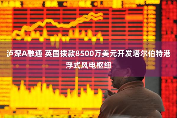 泸深A融通 英国拨款8500万美元开发塔尔伯特港浮式风电枢纽