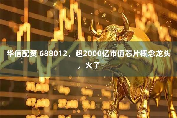 华信配资 688012，超2000亿市值芯片概念龙头，火了