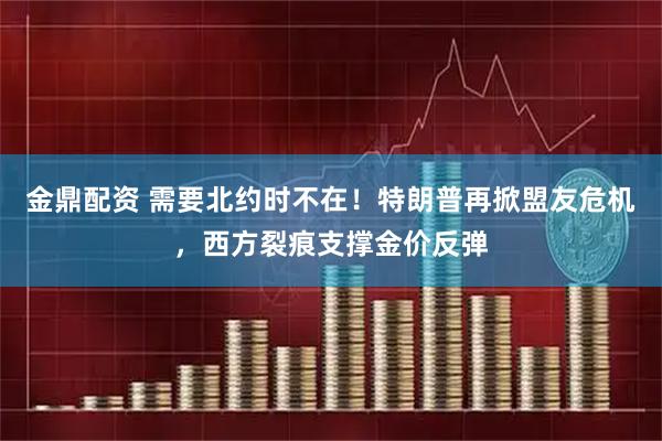 金鼎配资 需要北约时不在！特朗普再掀盟友危机，西方裂痕支撑金价反弹