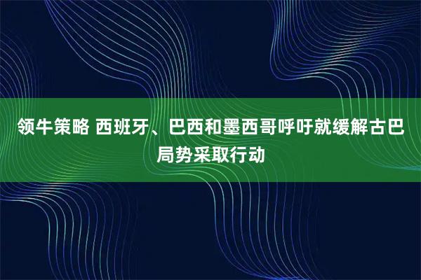 领牛策略 西班牙、巴西和墨西哥呼吁就缓解古巴局势采取行动