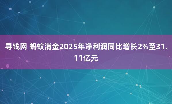 寻钱网 蚂蚁消金2025年净利润同比增长2%至31.11亿元