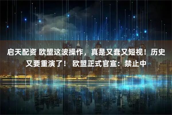 启天配资 欧盟这波操作，真是又蠢又短视！历史又要重演了！ 欧盟正式官宣：禁止中