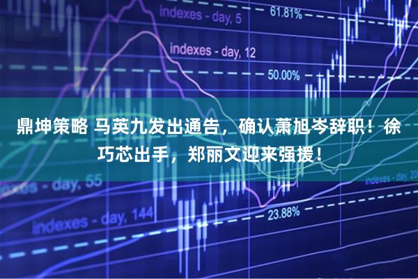 鼎坤策略 马英九发出通告，确认萧旭岑辞职！徐巧芯出手，郑丽文迎来强援！