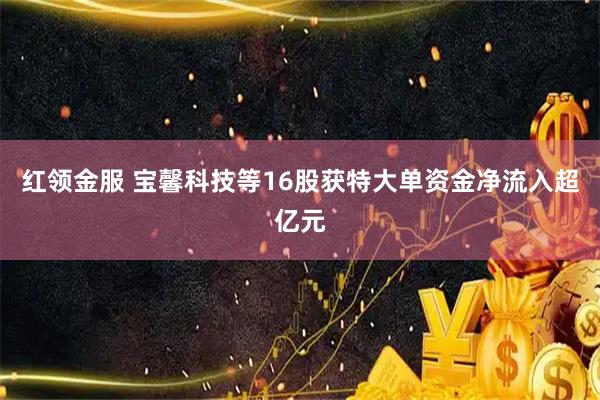 红领金服 宝馨科技等16股获特大单资金净流入超亿元