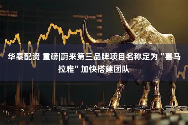 华泰配资 重磅|蔚来第三品牌项目名称定为“喜马拉雅”加快搭建团队