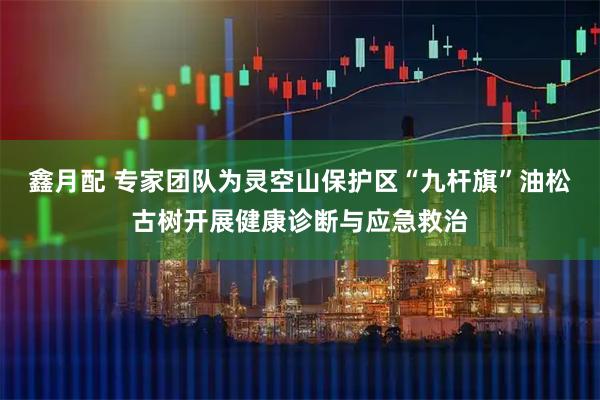 鑫月配 专家团队为灵空山保护区“九杆旗”油松古树开展健康诊断与应急救治