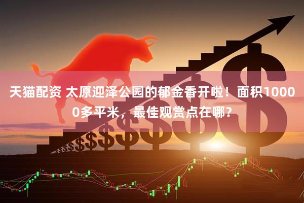 天猫配资 太原迎泽公园的郁金香开啦！面积10000多平米，最佳观赏点在哪？