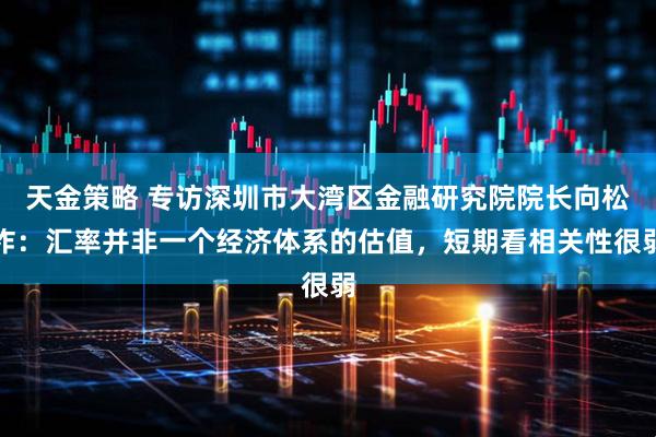 天金策略 专访深圳市大湾区金融研究院院长向松祚：汇率并非一个经济体系的估值，短期看相关性很弱