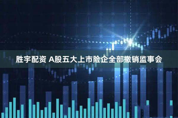 胜宇配资 A股五大上市险企全部撤销监事会