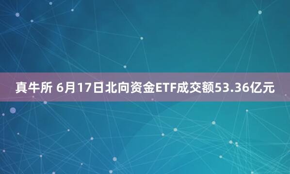 真牛所 6月17日北向资金ETF成交额53.36亿元