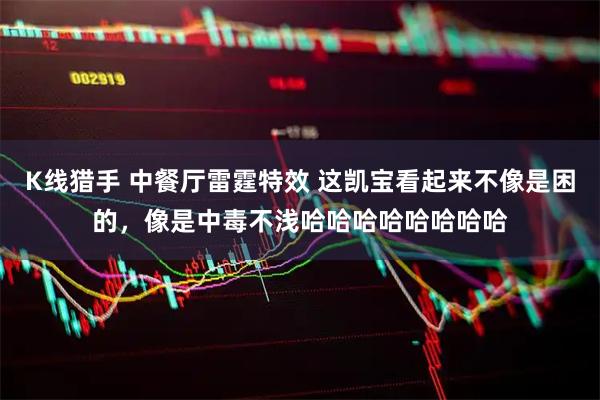 K线猎手 中餐厅雷霆特效 这凯宝看起来不像是困的，像是中毒不浅哈哈哈哈哈哈哈哈