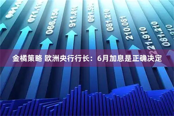 金橘策略 欧洲央行行长：6月加息是正确决定