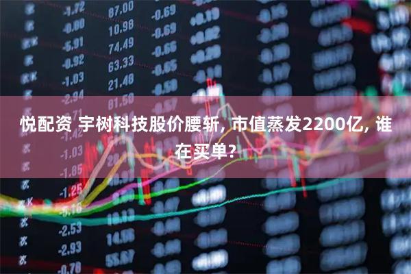 悦配资 宇树科技股价腰斩, 市值蒸发2200亿, 谁在买单?